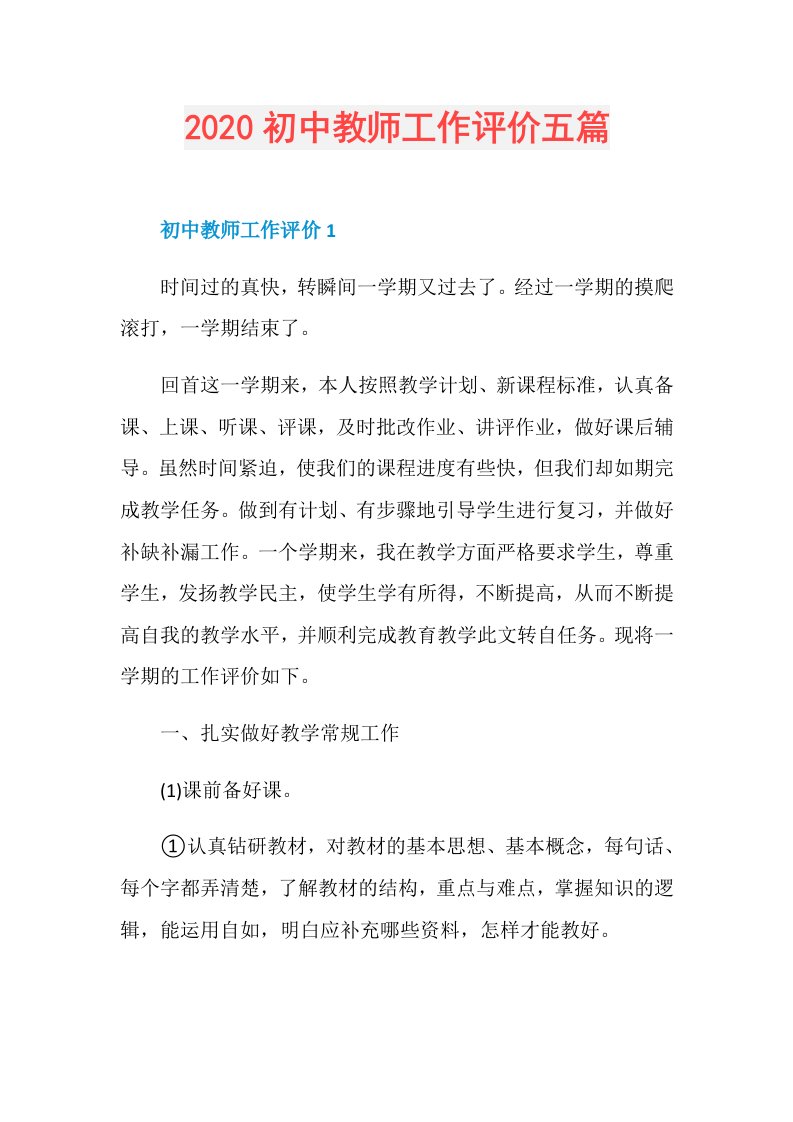 初中教师工作评价五篇