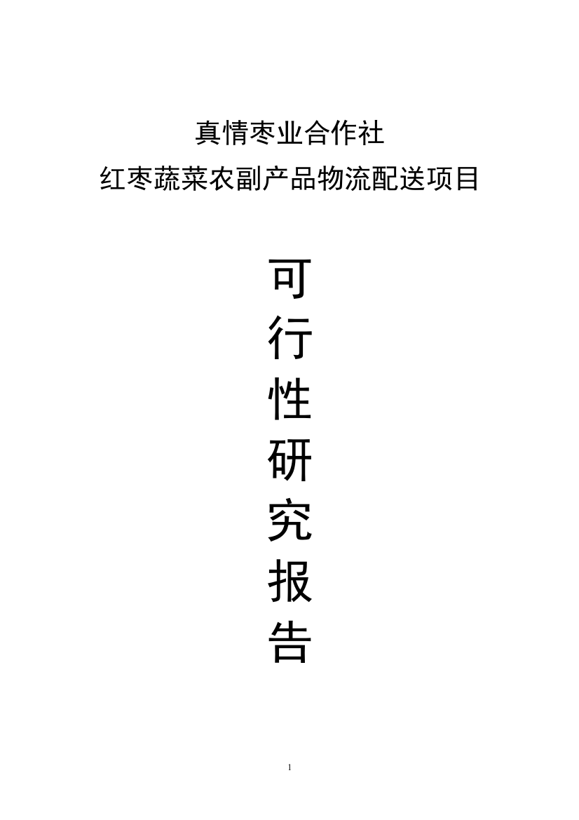 红枣蔬菜农副产品物流配送项目可行性论证报告