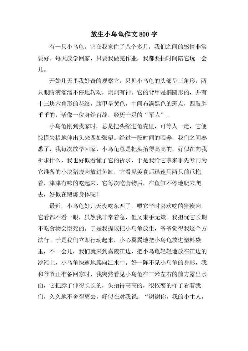 放生小乌龟作文800字