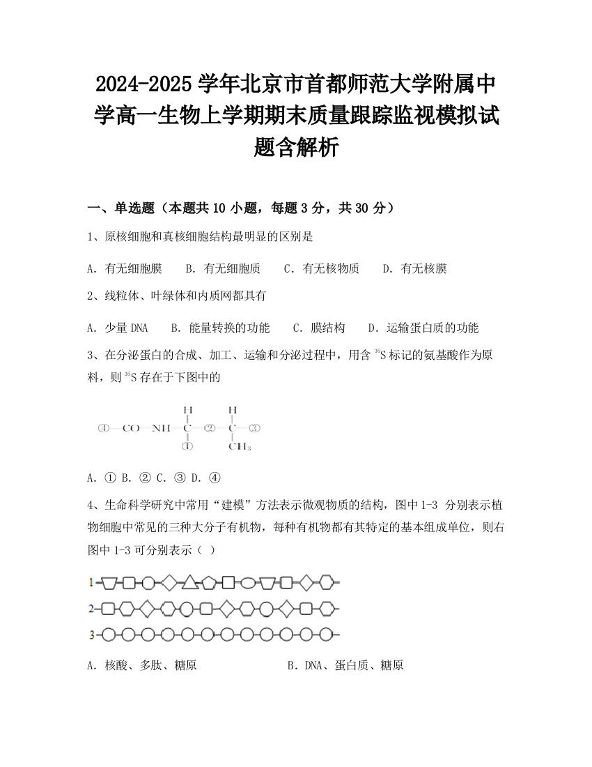 2024-2025学年北京市首都师范大学附属中学高一生物上学期期末质量跟踪监视模拟试题含解析