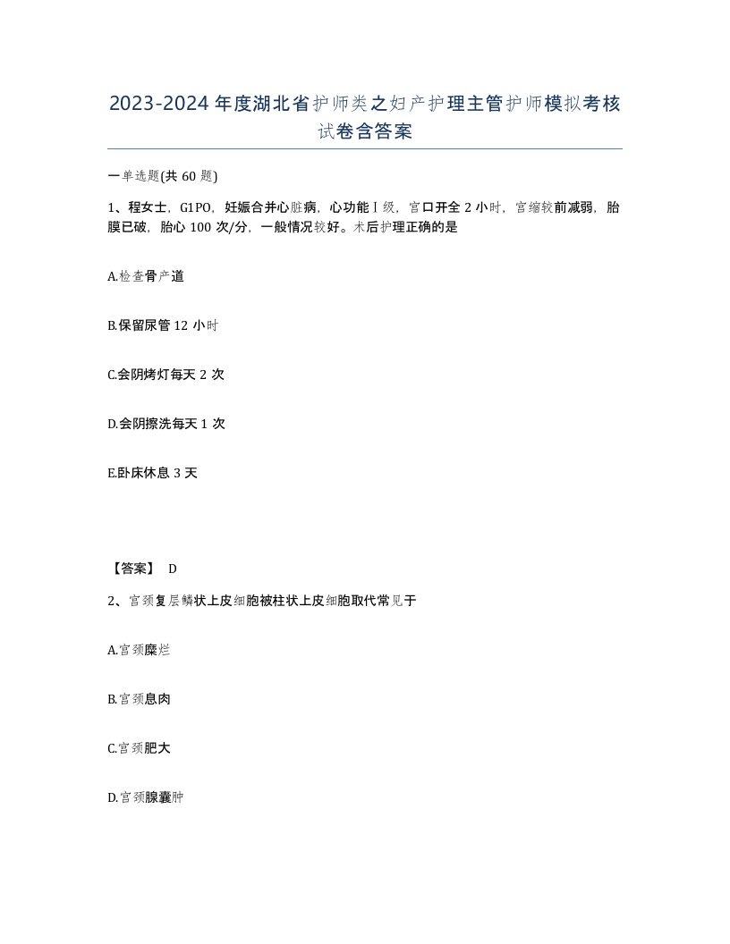 2023-2024年度湖北省护师类之妇产护理主管护师模拟考核试卷含答案