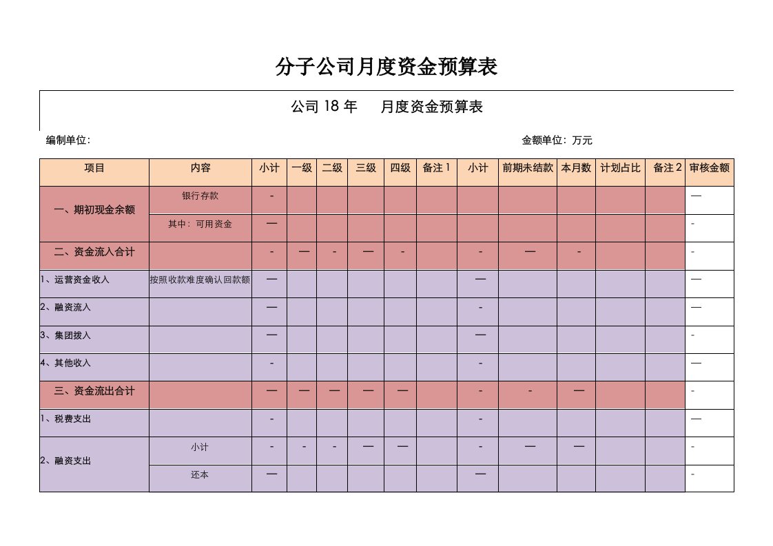 分子公司月度资金预算表