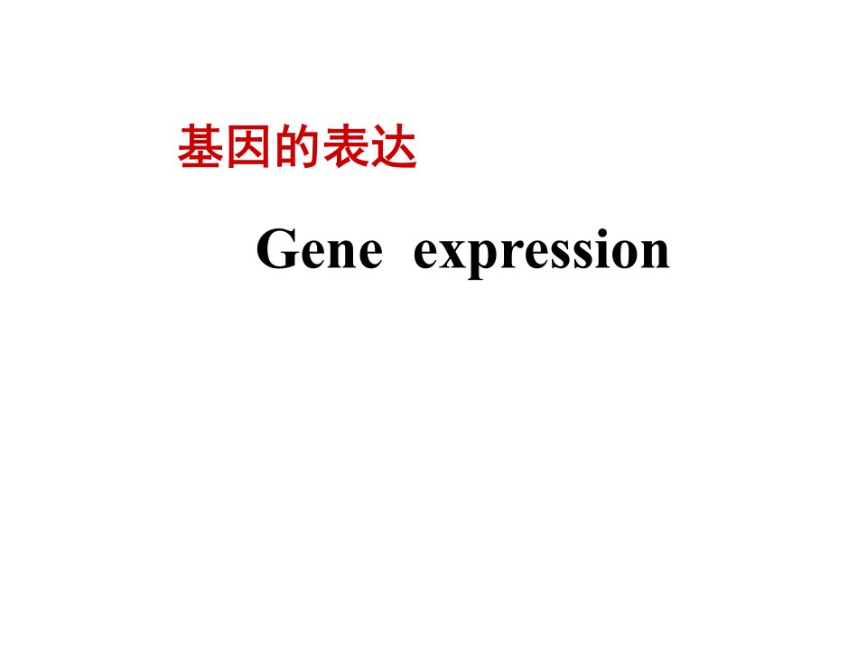 分子生物学第四章