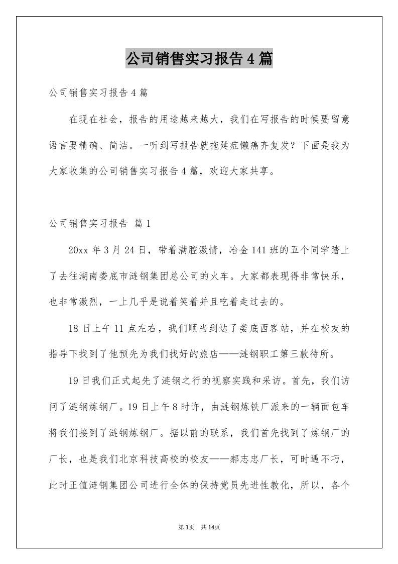 公司销售实习报告4篇例文