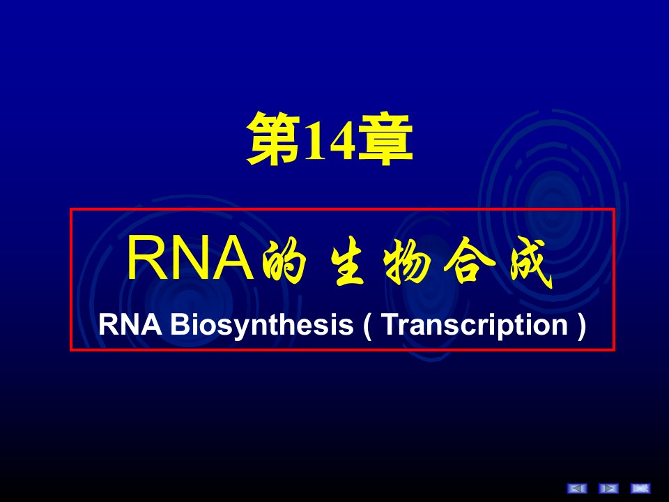 RNA的生物合成简明教程