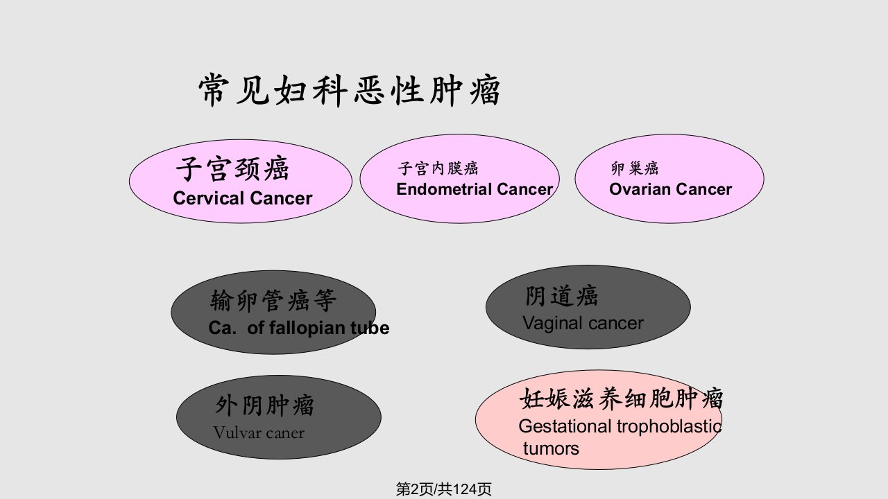 常见妇科恶性肿瘤的治疗高碧燕