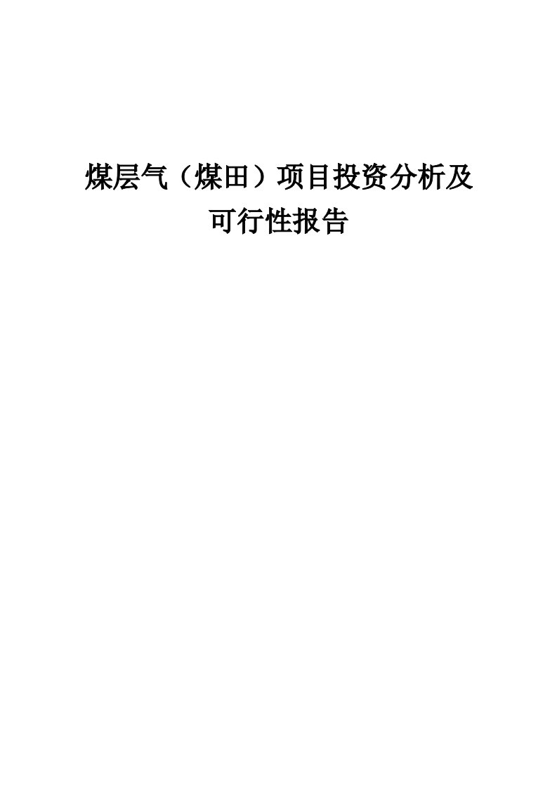 2024年煤层气（煤田）项目投资分析及可行性报告