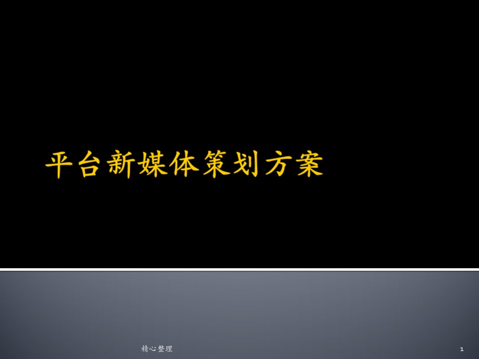 最终版平台新媒体策划方案