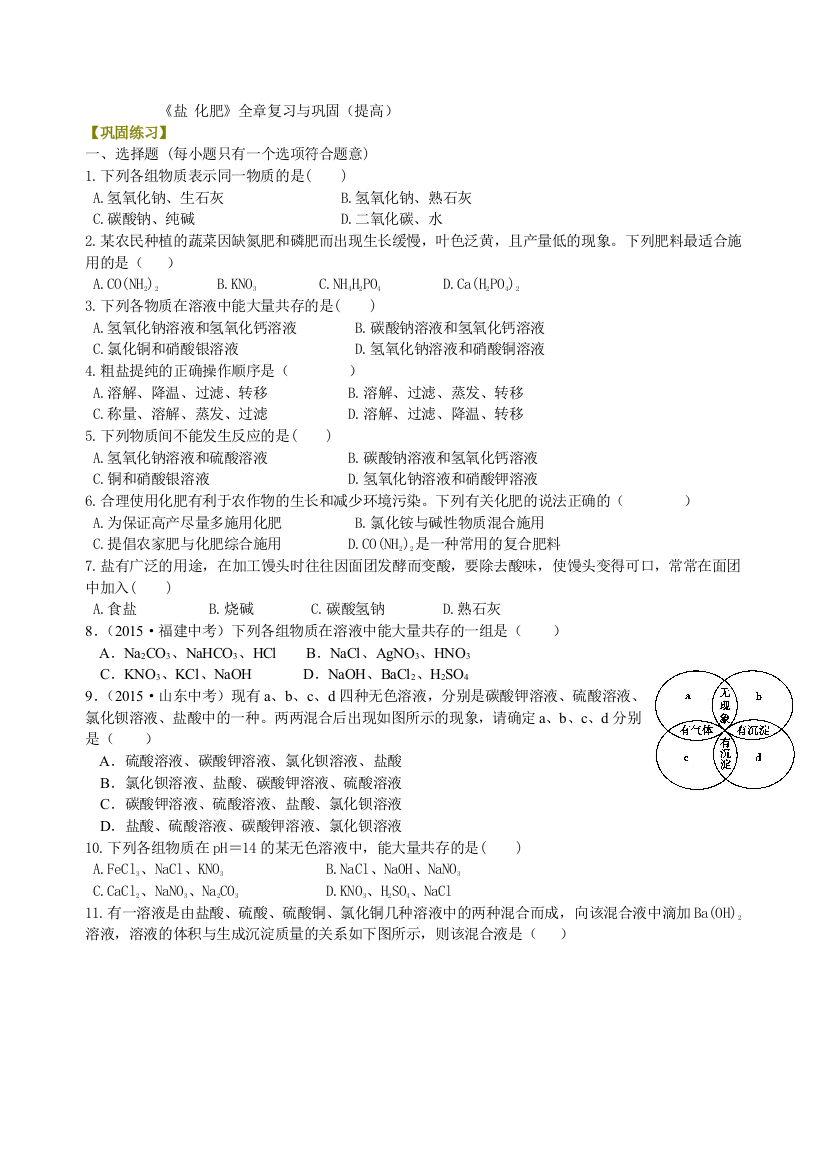 《盐-化肥》全章复习与巩固(提高)-巩固练习