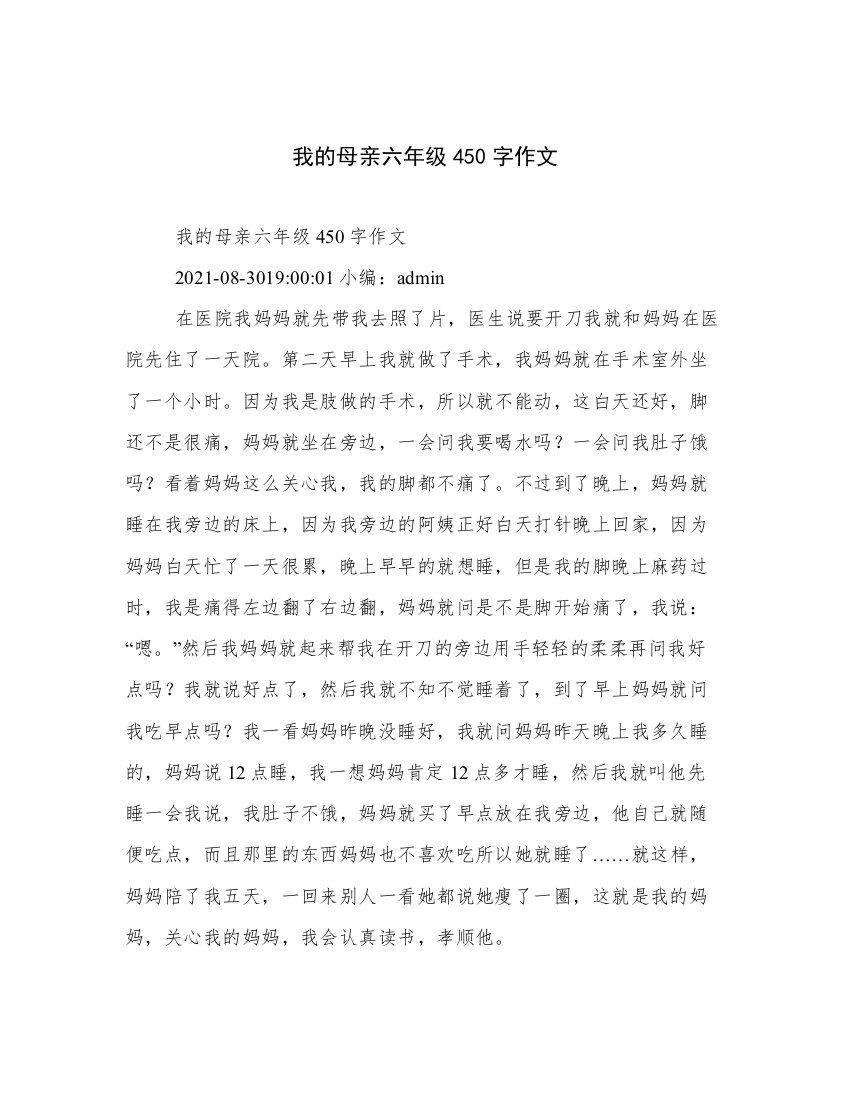 我的母亲六年级450字作文