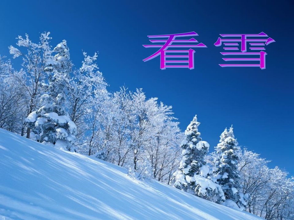 小学二年级人教版上册《看雪》