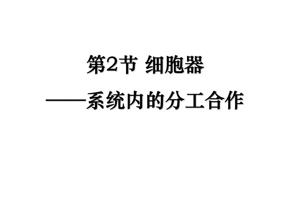 细胞器公开课课件