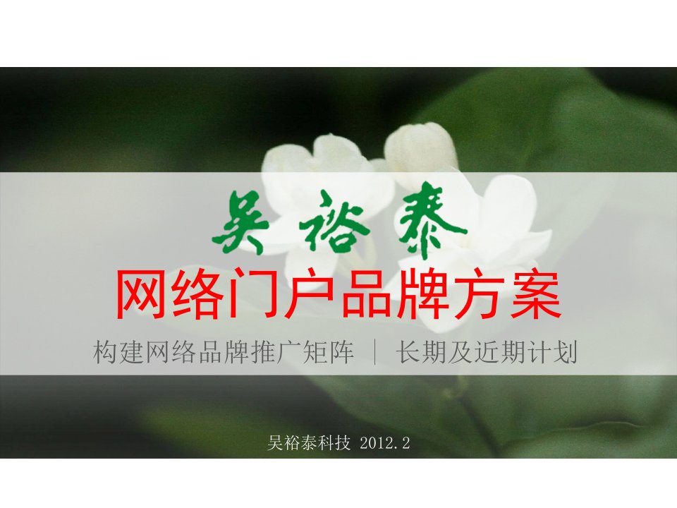 吴裕泰网络门户品牌方案-构建网络品牌推广矩阵