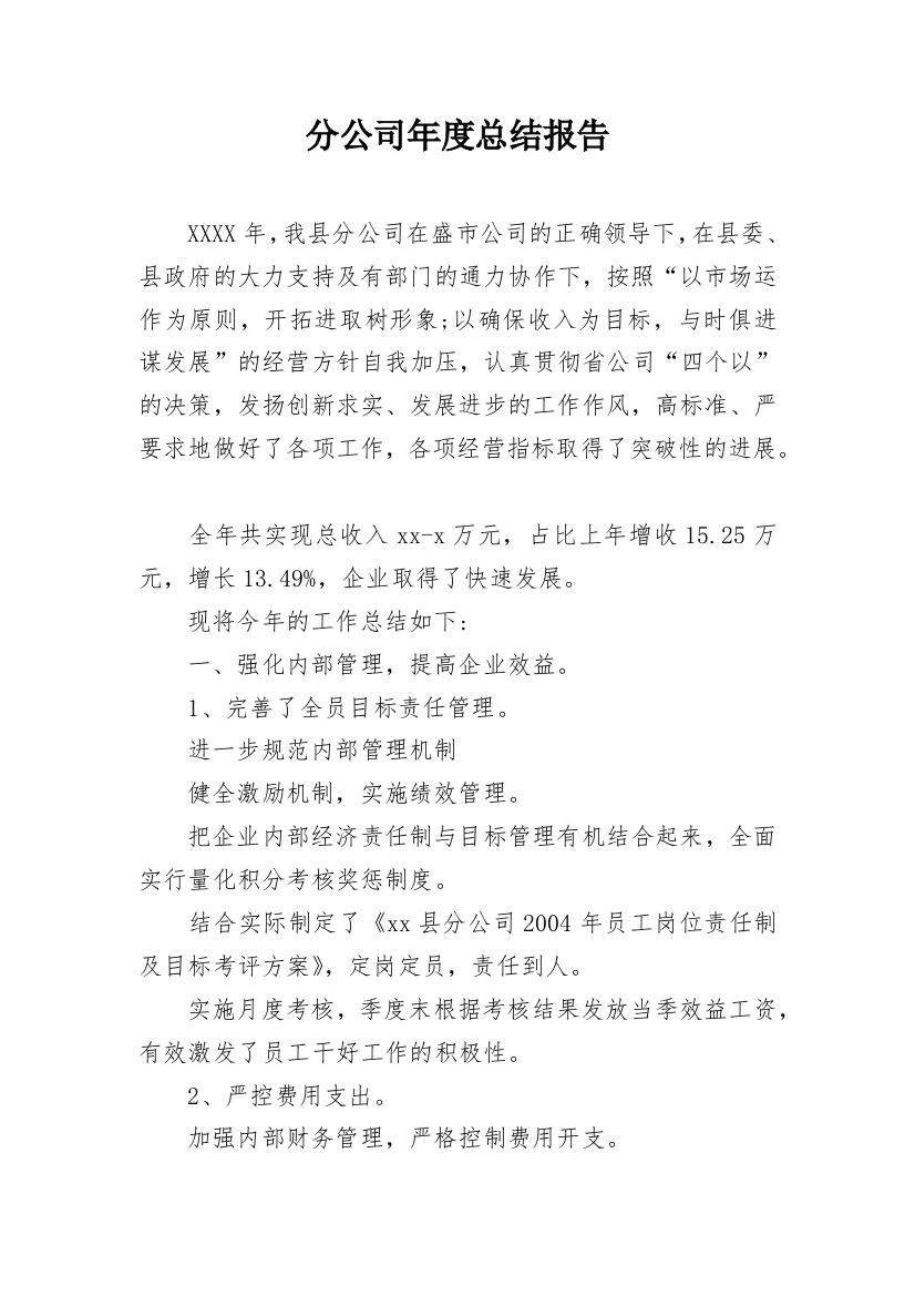 分公司年度总结报告