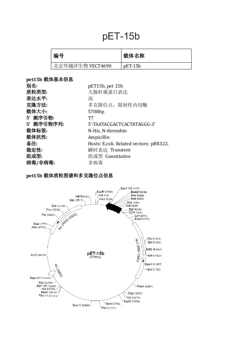 pET-15b载体说明