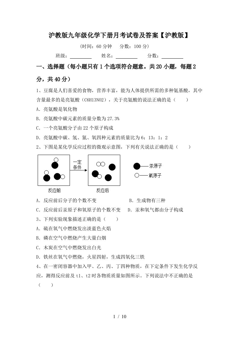 沪教版九年级化学下册月考试卷及答案沪教版