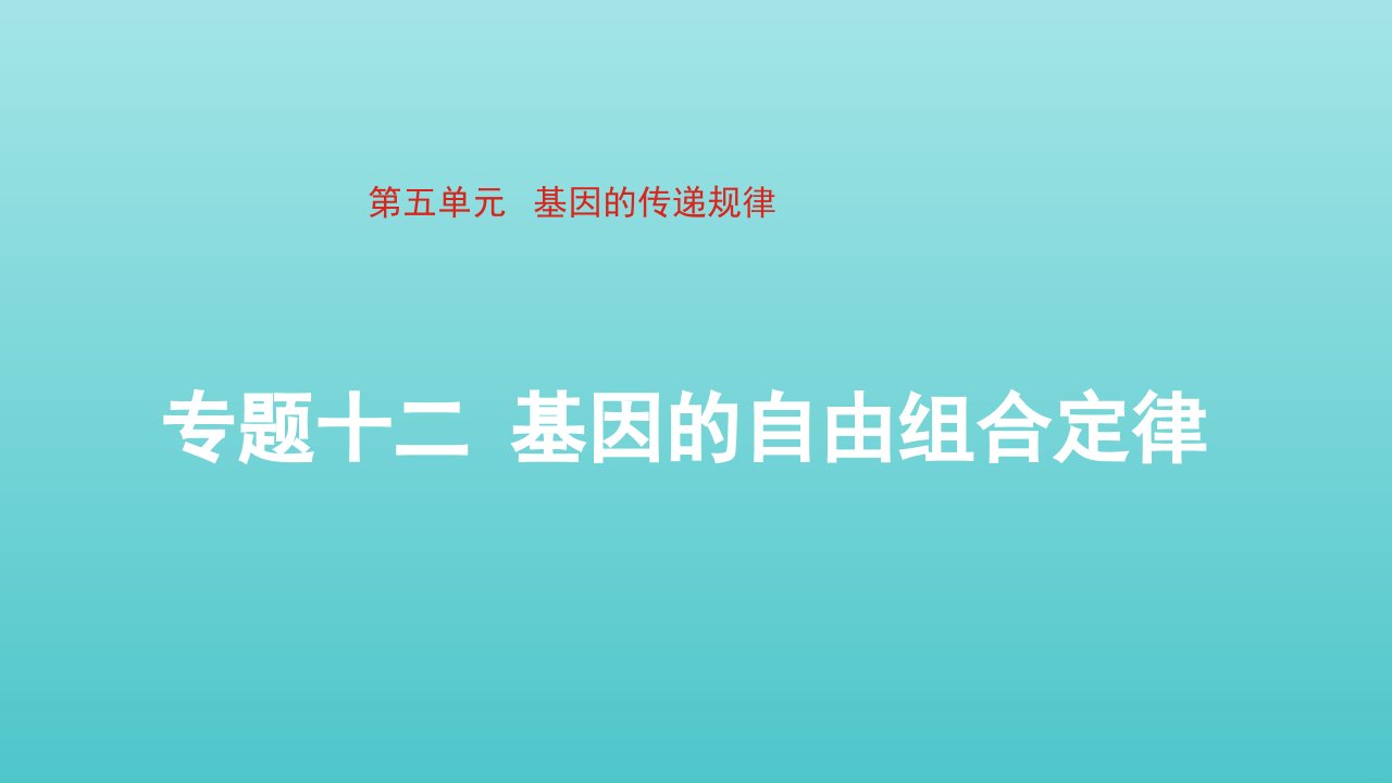 通用版2022届高考生物一轮复习专题十二基因的自由组合定律课件