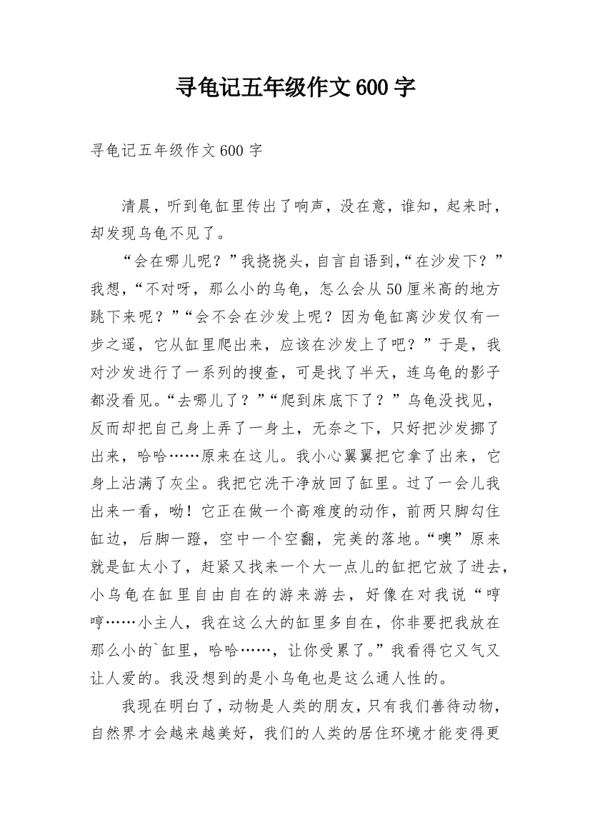 寻龟记五年级作文600字