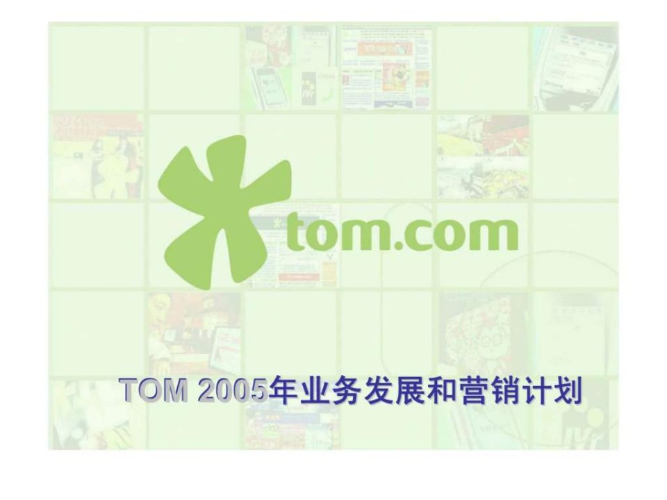 TOM业务发展和营销计划21