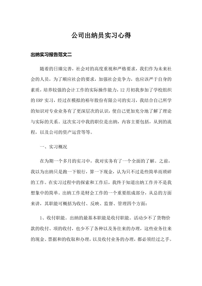 公司出纳员实习心得