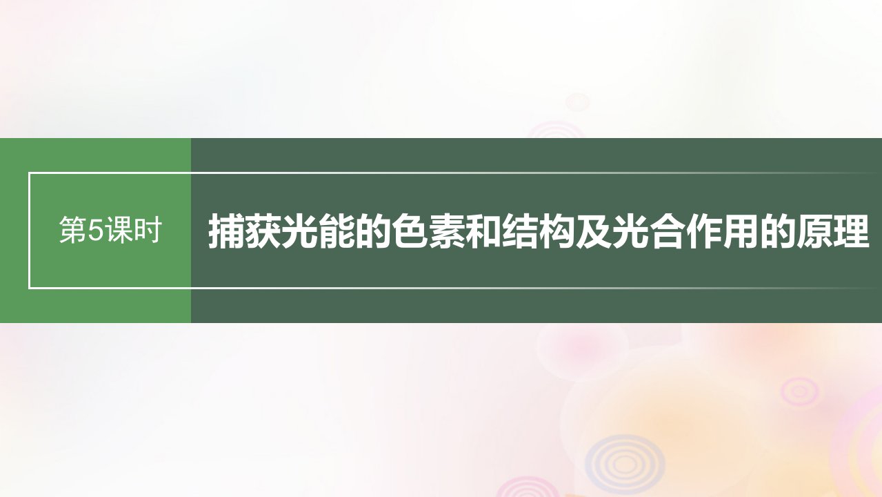 鲁湘辽新教材2024届高考生物一轮复习第三单元细胞的能量供应和利用第5课时捕获光能的色素和结构及光合作用的原理课件