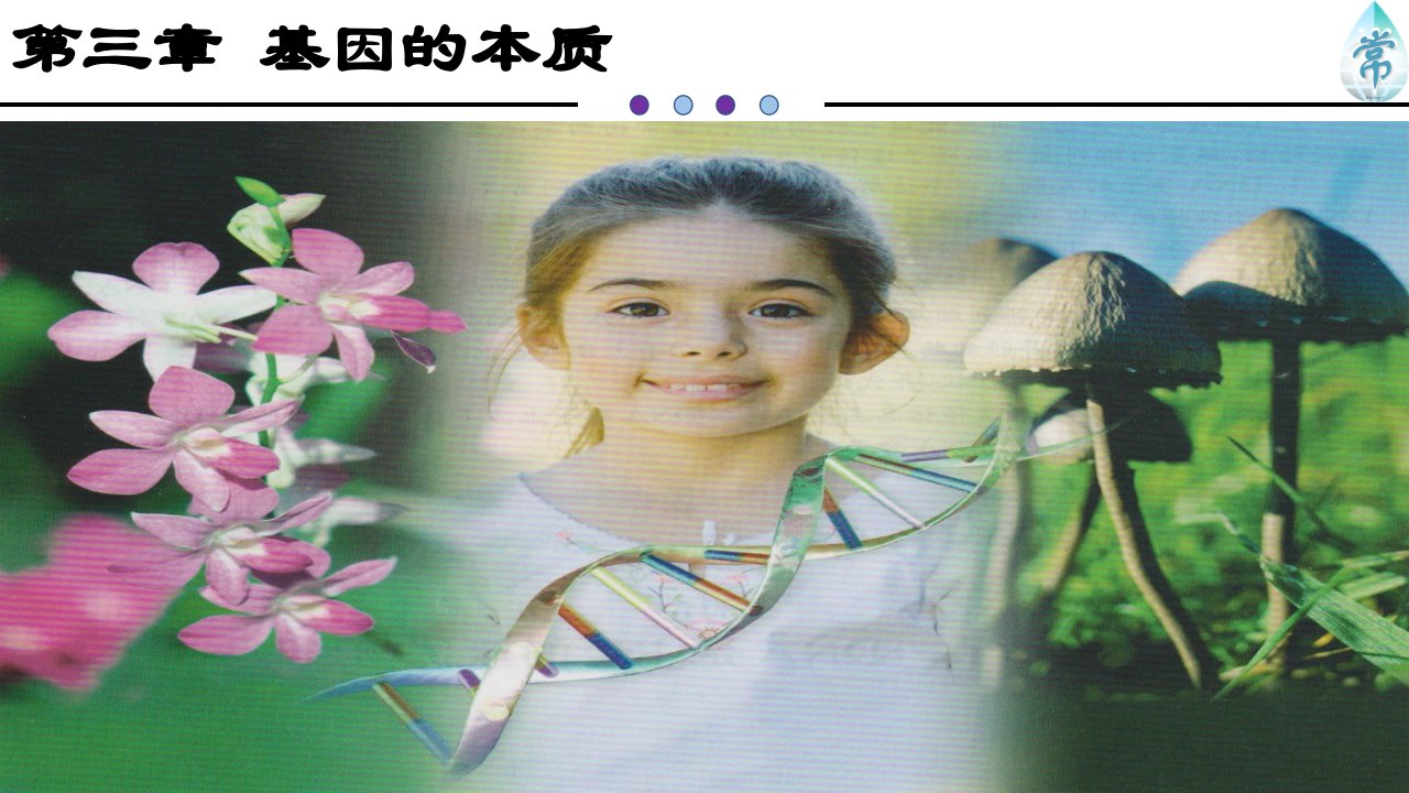 人教版生物新教材《DNA的复制》课件