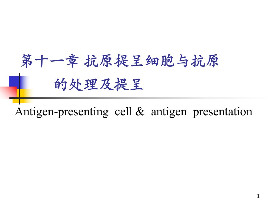 抗原提呈细胞与抗原的处理及提呈