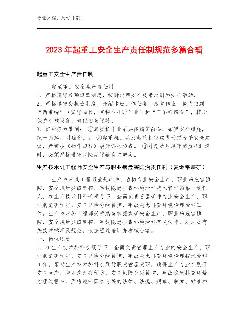 2023年起重工安全生产责任制规范多篇合辑