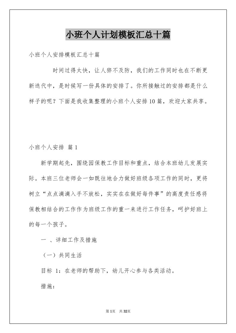 小班个人计划模板汇总十篇