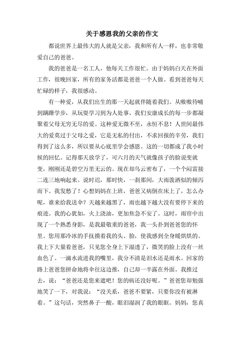 关于感恩我的父亲的作文