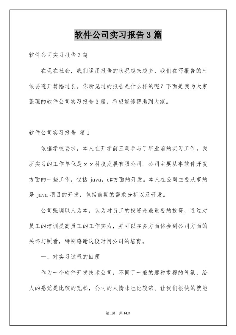 软件公司实习报告3篇例文