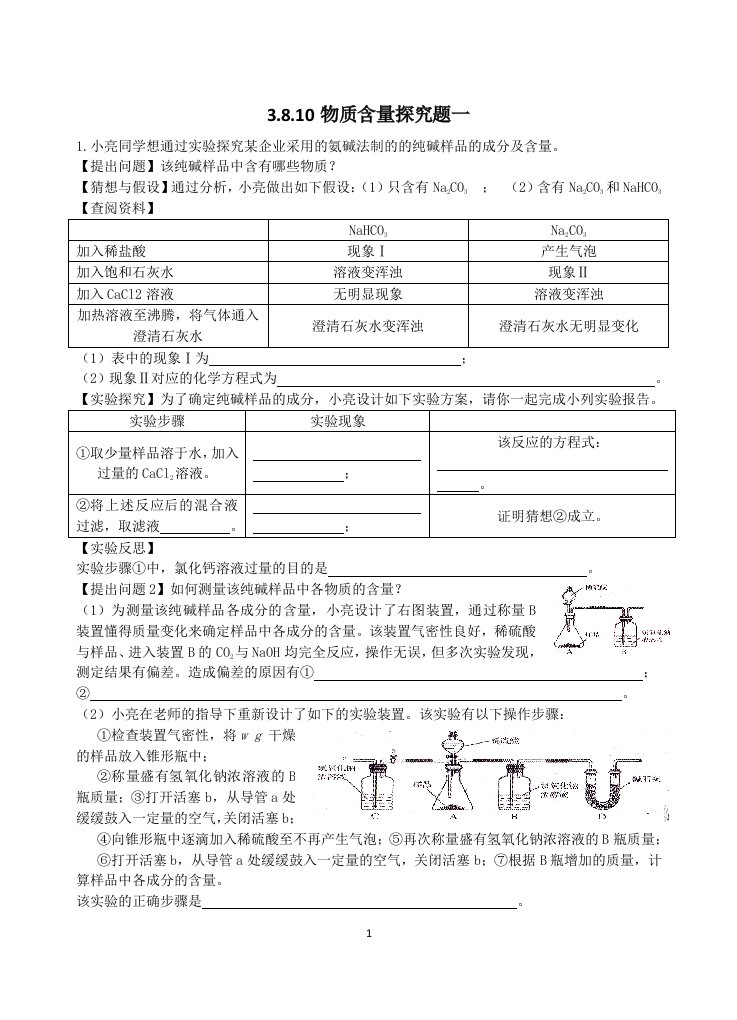 3.8.10物质含量探究题一