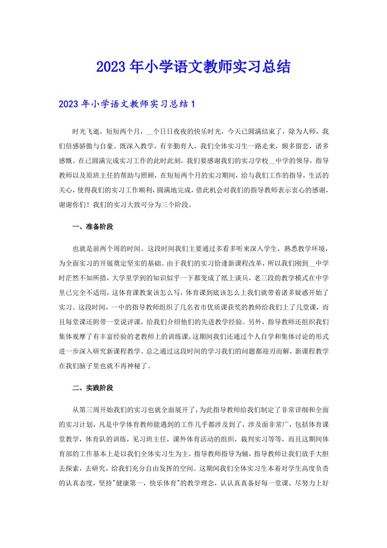 2023年小学语文教师实习总结