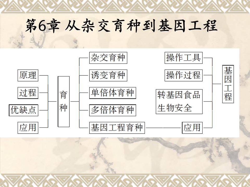 期末复习6-从杂交育种到基因工程