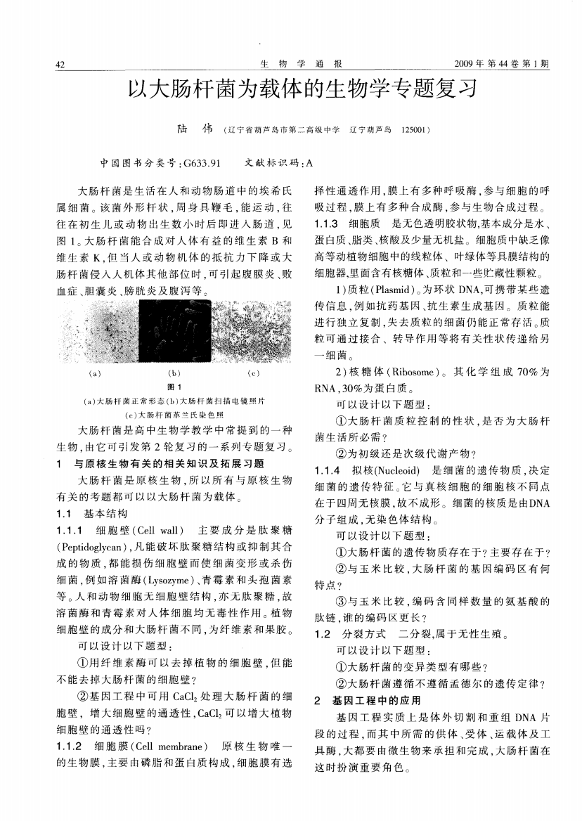 以大肠杆菌为载体的生物学专题复习