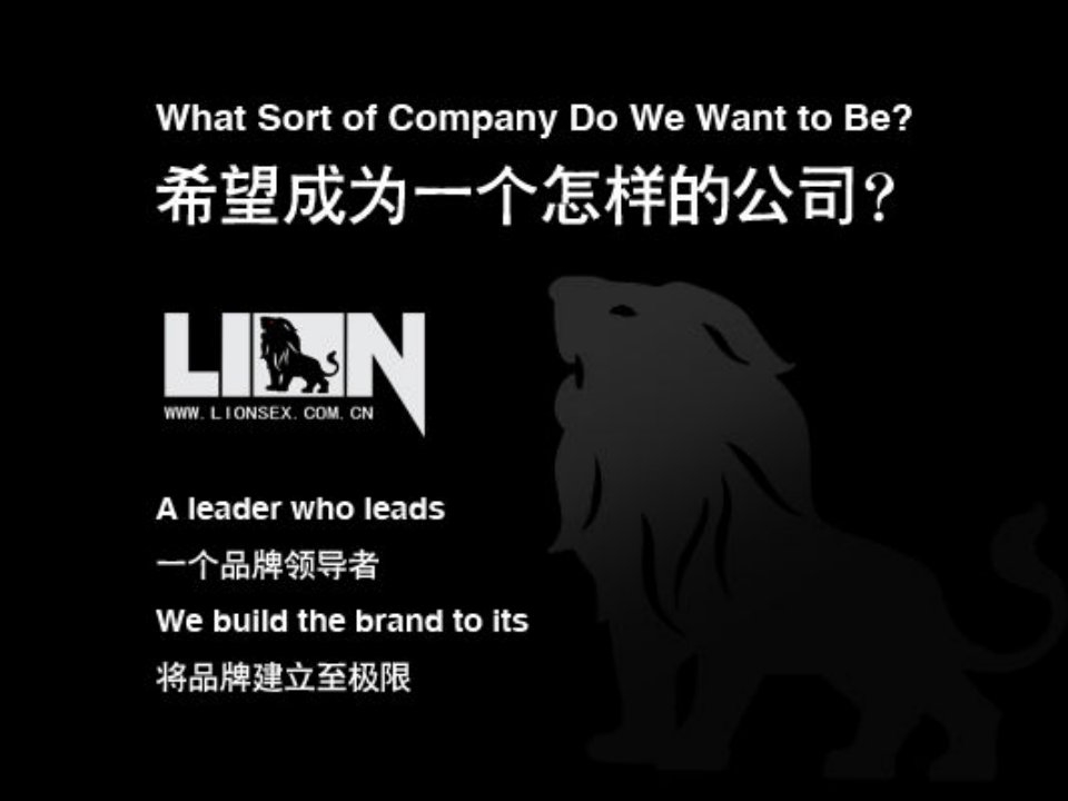 服装行业管理-男士内衣LION品牌策划