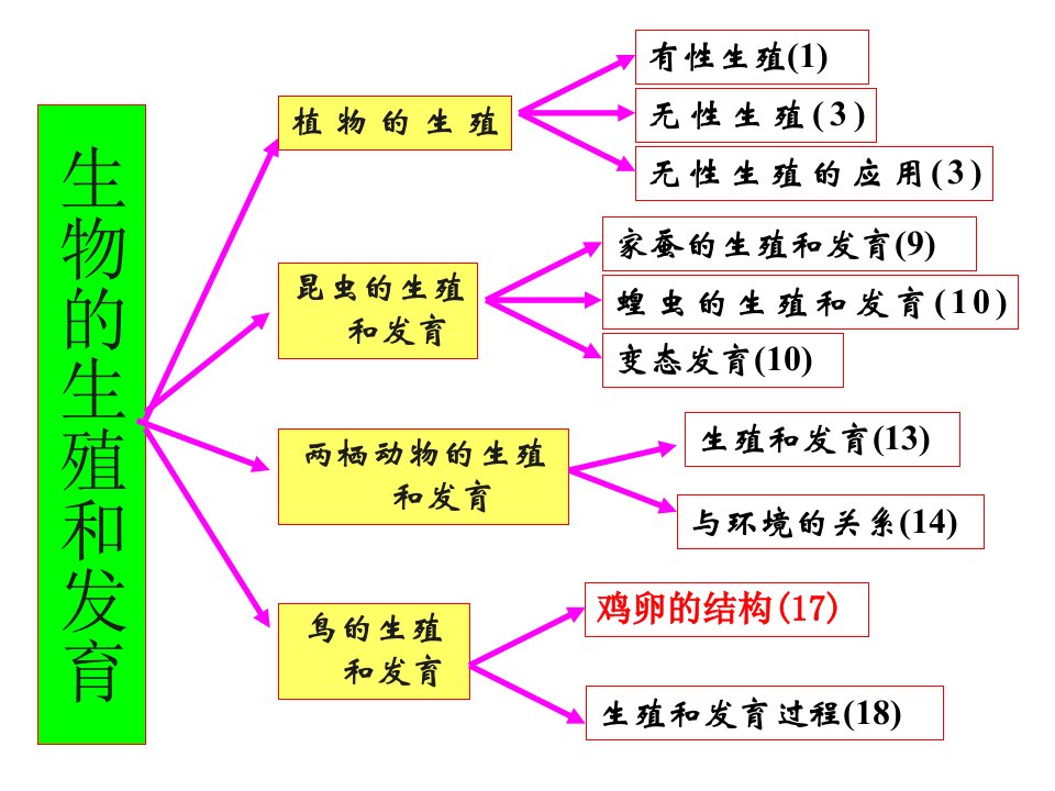 八年级下册生物复习课件ppt