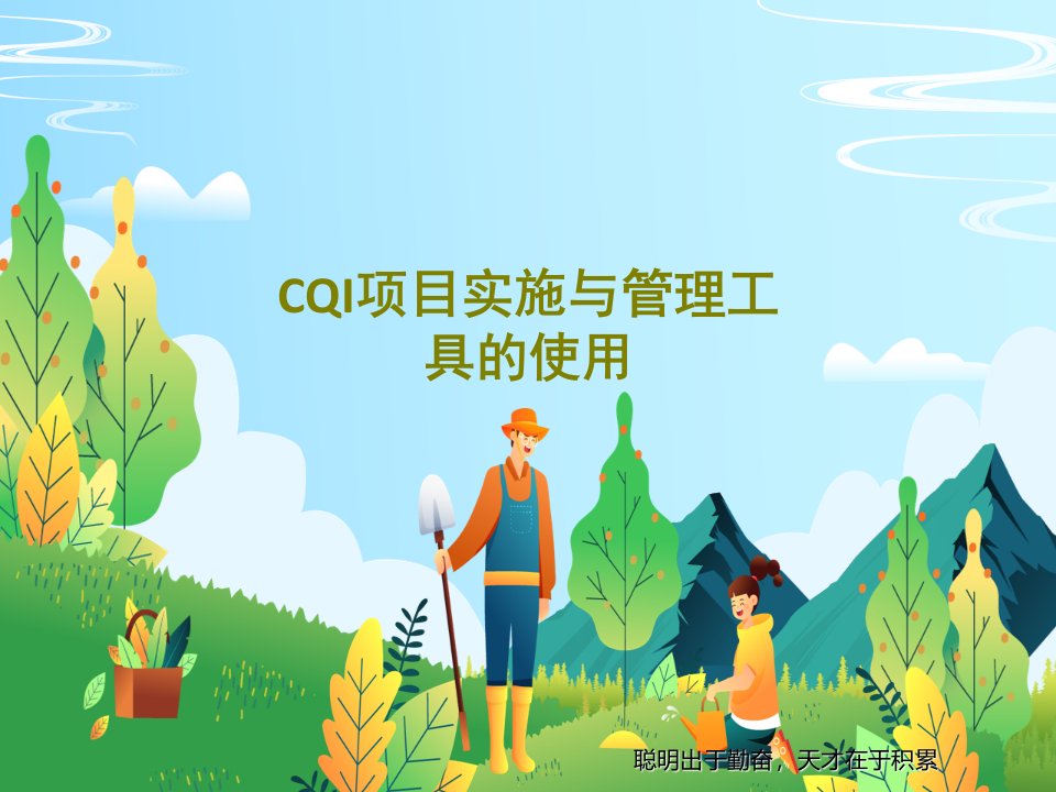 CQI项目实施与管理工具的使用共48页