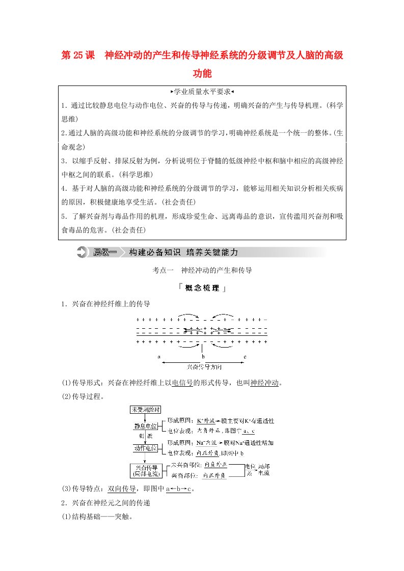 2024版高考生物一轮总复习第8单元生命活动的调节第25课神经冲动的产生和传导神经系统的分级调节及人脑的高级功能教师用书