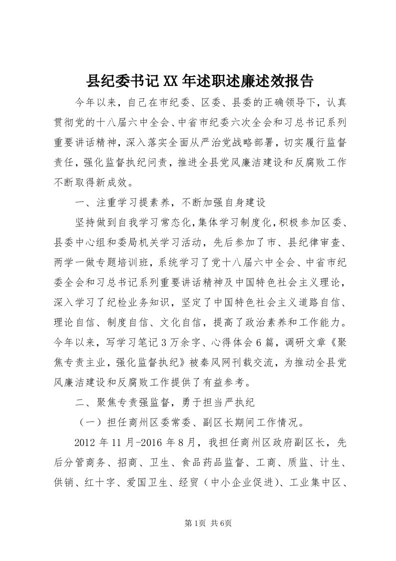 6县纪委书记某年述职述廉述效报告