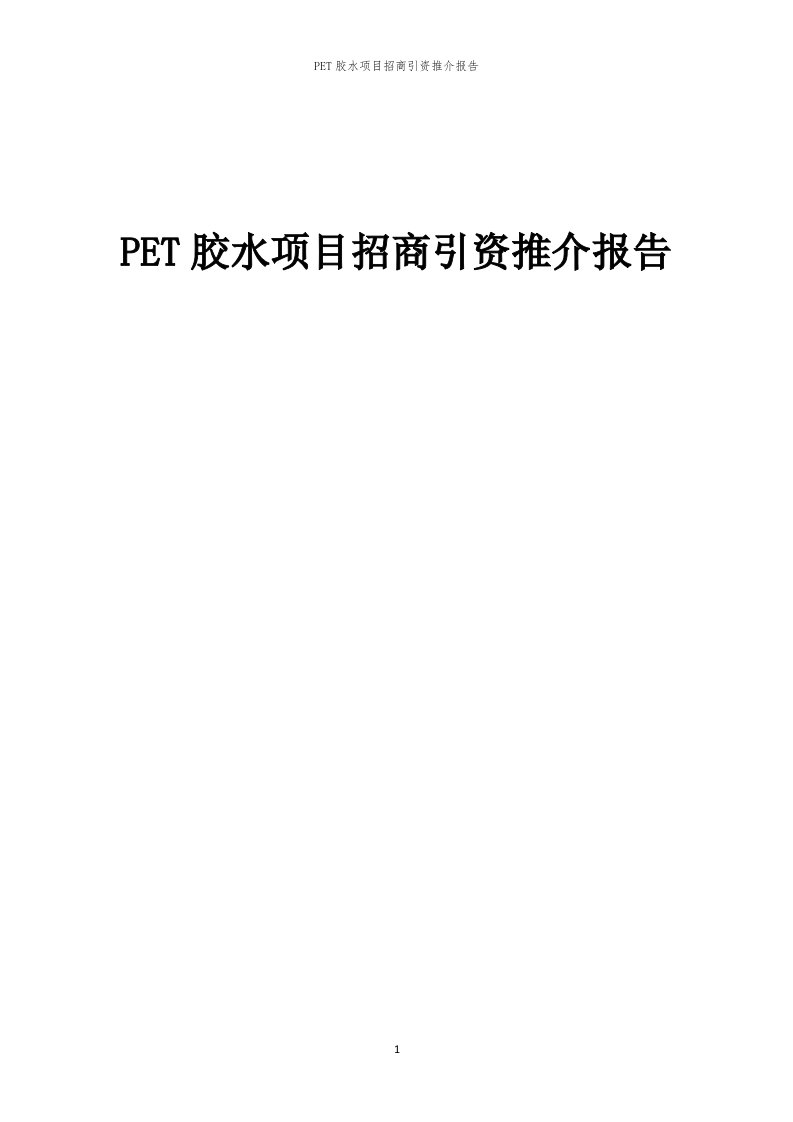 PET胶水项目招商引资推介报告