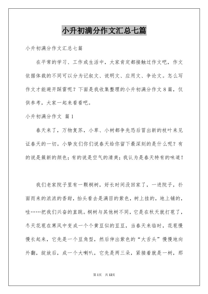 小升初满分作文汇总七篇精选