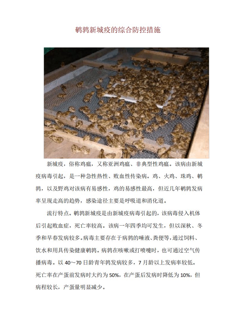 鹌鹑新城疫的综合防控措施