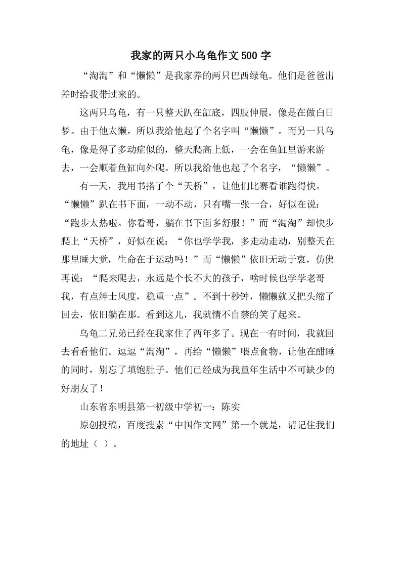 我家的两只小乌龟作文500字