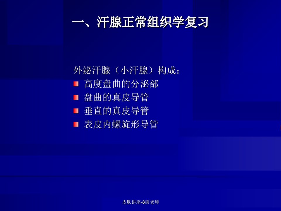 皮肤讲座8廖老师课件