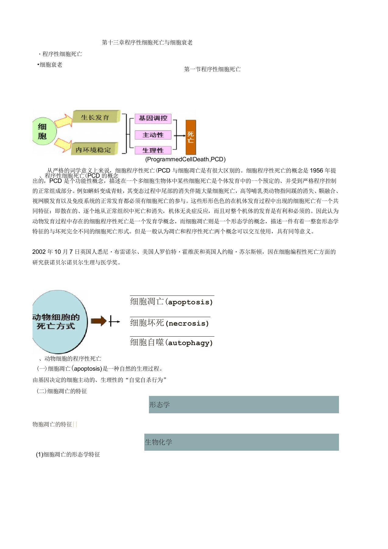 细胞程序性死亡