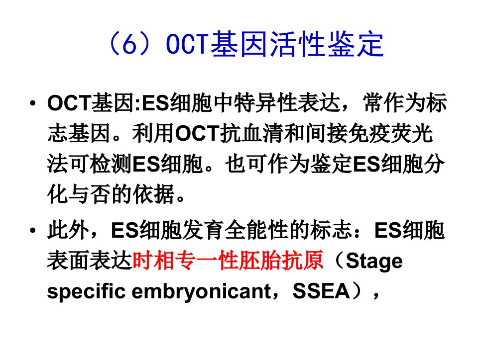 细胞工程第7章干细胞与组织工程