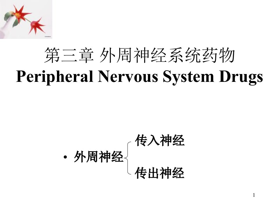 药物化学教学课件：第三章