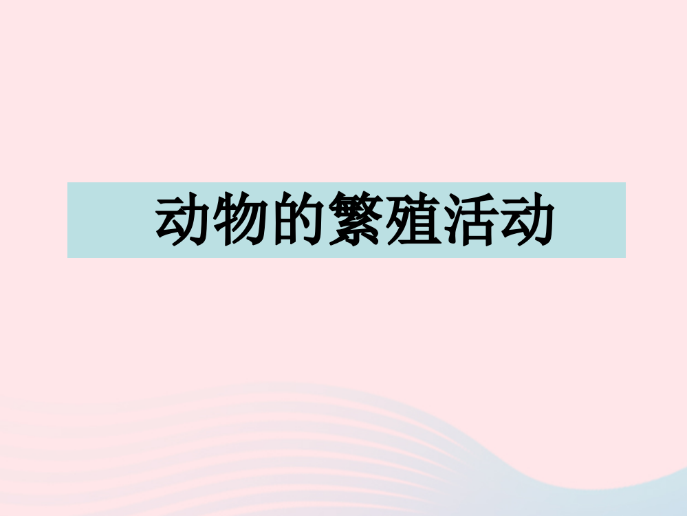 四年级科学下册