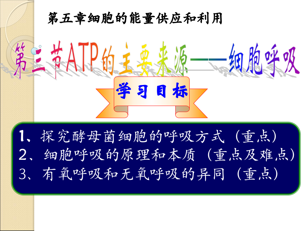 第三节ATP的主要来源——细胞呼吸